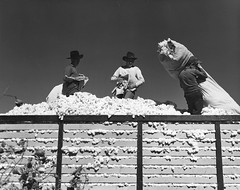 Eloy, Arizona, November 1940