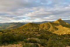 Tortilla Mountains, AZ