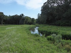 Blackwell Forest Preserve 2022-2021