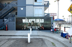 AMC - The Walking Dead