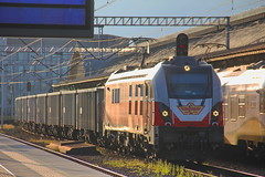 Rail Polonia