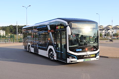 Trams & buses / Tramwaje i autobusy