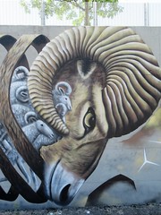 Street art/Graffiti: Halle