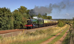 The Shakespeare Express's