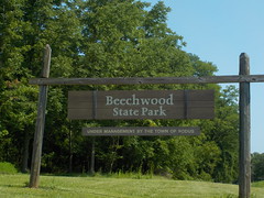 Beechwood State Park (Sodus, NY)