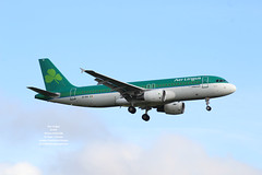 Aer Lingus - EI-DVI