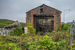 Abandoned Shipyard