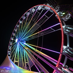 Ferris Wheel 2021
