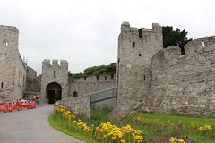 Desmond Castle