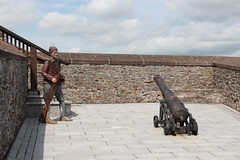 Fort Elizabeth, Cork