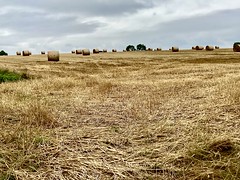 Hay making in East Yorkshire