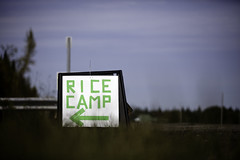 Wild Rice Camp