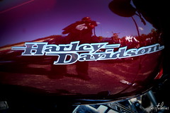 Harley Davidson Hometown Rally 9-5-21