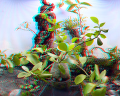 Plants and flowers Blijdorp Zoo Rotterdam 3D