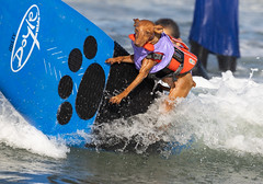 Surf Dog Surf-A-Thon - 2021