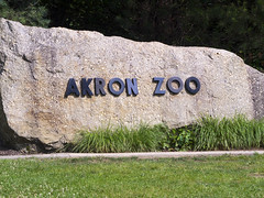 Akron Zoo 06-10-2016