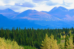 2021 September 8 - The drive from Whitehorse to Haines Junction, and the drive back September 9