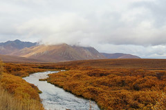 2021 September 11 Exploration of the Dempster Highway and Tombstone Territorial Park