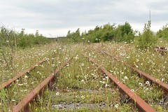 Fforio/Explore : Kenfig Rail Yard
