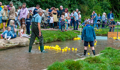 Louth Duck Races September 2021