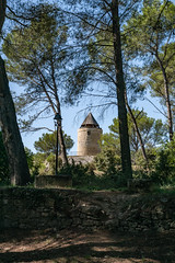 Provence  Fontvielle