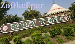 Nut Tree, Vacaville