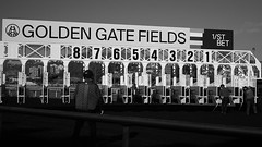 Golden Gate Fields