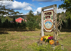 Piper Mountain Farm