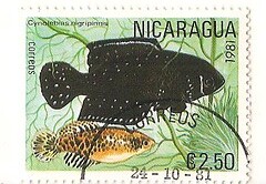 Stamp mix from Nicaragua