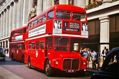 London Transport Red RM's --- Copyright M.Thorne