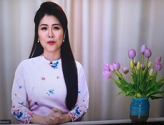 Vietnamese Announcers/Reporters 