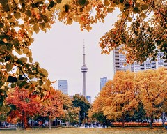 Toronto Pictures