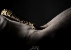 Le Serpent
