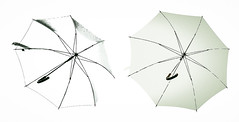 Umbrella's