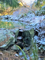 2018-February-Arboretum in Snow