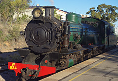 SA Steam Trains