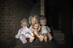 Dolly Dolls