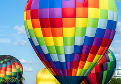 Great Forest Park Balloon Race 2021