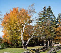 Peak Fall Foliage at Mount Kearsarge