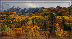 Fall Colors Trip 2021 (Colorado)