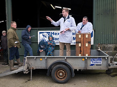 Farm equipment sale, Sinderhope. Northumberland farmer Jeff Wilkinson retires and sells his livestock and farm equipment.