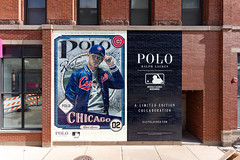 Polo Ralph Lauren - Chicago Cubs