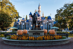 Disneyland Magic Kingdom