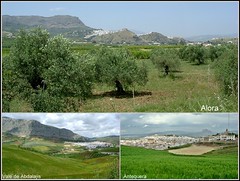 Andalusia (Spain)