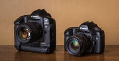 Canon EOS-1Ds (2002) / Canon EOS-5D (2005)