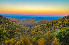 Fall colors on Blue Ridge Parkway, North Carolina_2021
