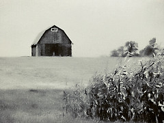 barns & houses rural midwest