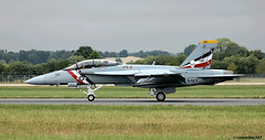 Type - McDonnell Douglas (Now Boeing) F-18 Hornet/ Super Hornet