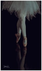 Ballet Reflections