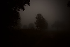 Foggy morning Oct 21
